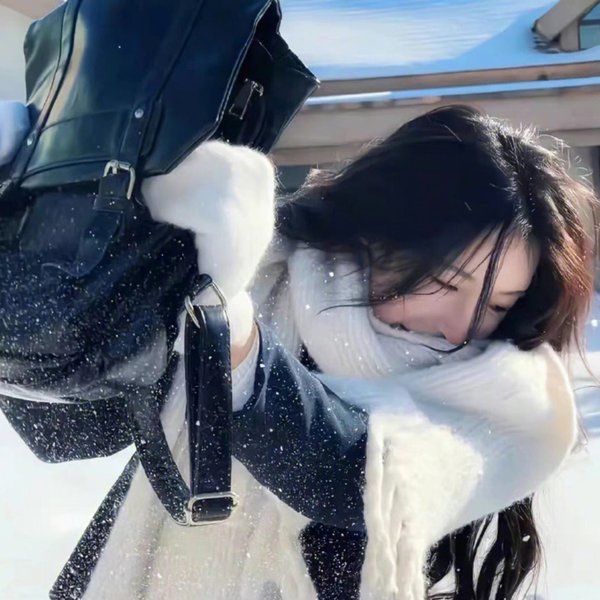 家有悍妇